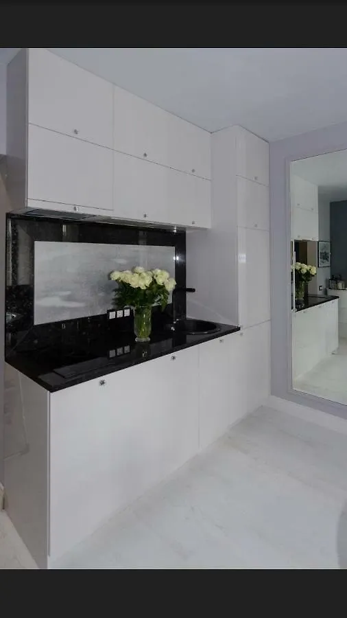 Apartment Charming Studio In The Center Kyiv